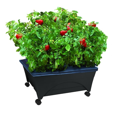 Emsco Group Raised Bed Grow Box, Self Watering and Improved Aeration, Mobile Unit with Casters 2340W-1